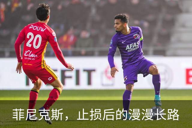 菲尼克斯，止损后的漫漫长路